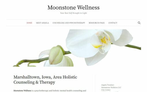 screencapture moonstone wellnessllc Moonstone Wellness LLC website screenshot